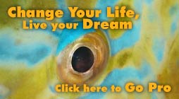 Change your life - Go Pro change your life. Go Pro with scubacat