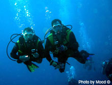 PADI Scuba diver