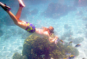 Snorkeling