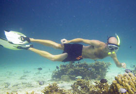 Snorkeling - skin diver