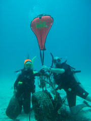 Project_Aware_Scuba_Cat_Diving_Phuket_Thailand