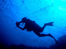 Learn to Dive Scuba Cat Diving Phuket Thailand