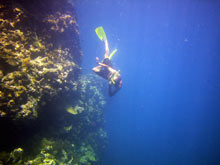 Koh Doc Mai Scuba Cat Diving Phuket Thailand