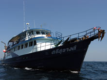 Scuba_Cat_Diving_Phuket_Thailand_Similan_ Liveaboards
