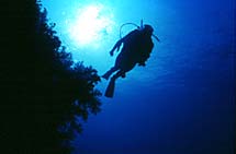 Learn to Dive Internship Scuba Cat Diving Phuket Thailand