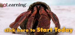 PADI eLearning - start from home eLearning - start from home!