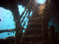 King Cruiser Wreck Inside
