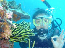 Dive Courses, Phuket, Thailand