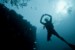 Scuba Sealife